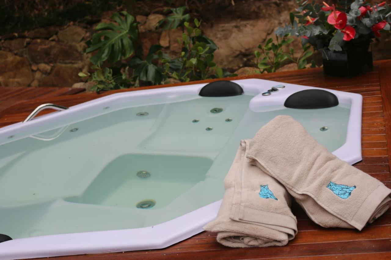 Blue Bear Cabins Villa Petrópolis Dış mekan fotoğraf